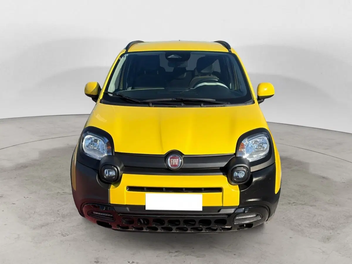 Fiat Panda Cross usata a Campobasso (5)