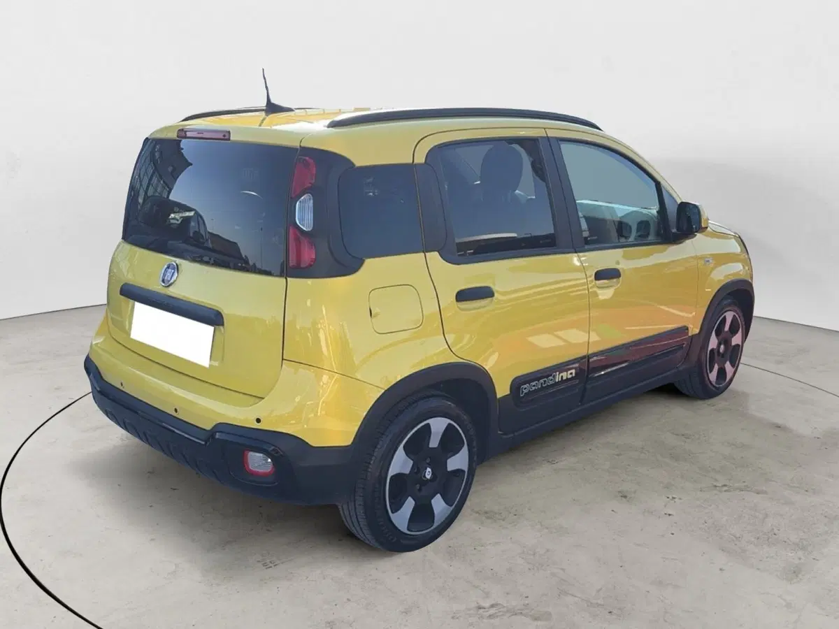 Fiat Panda Cross usata a Campobasso (6)