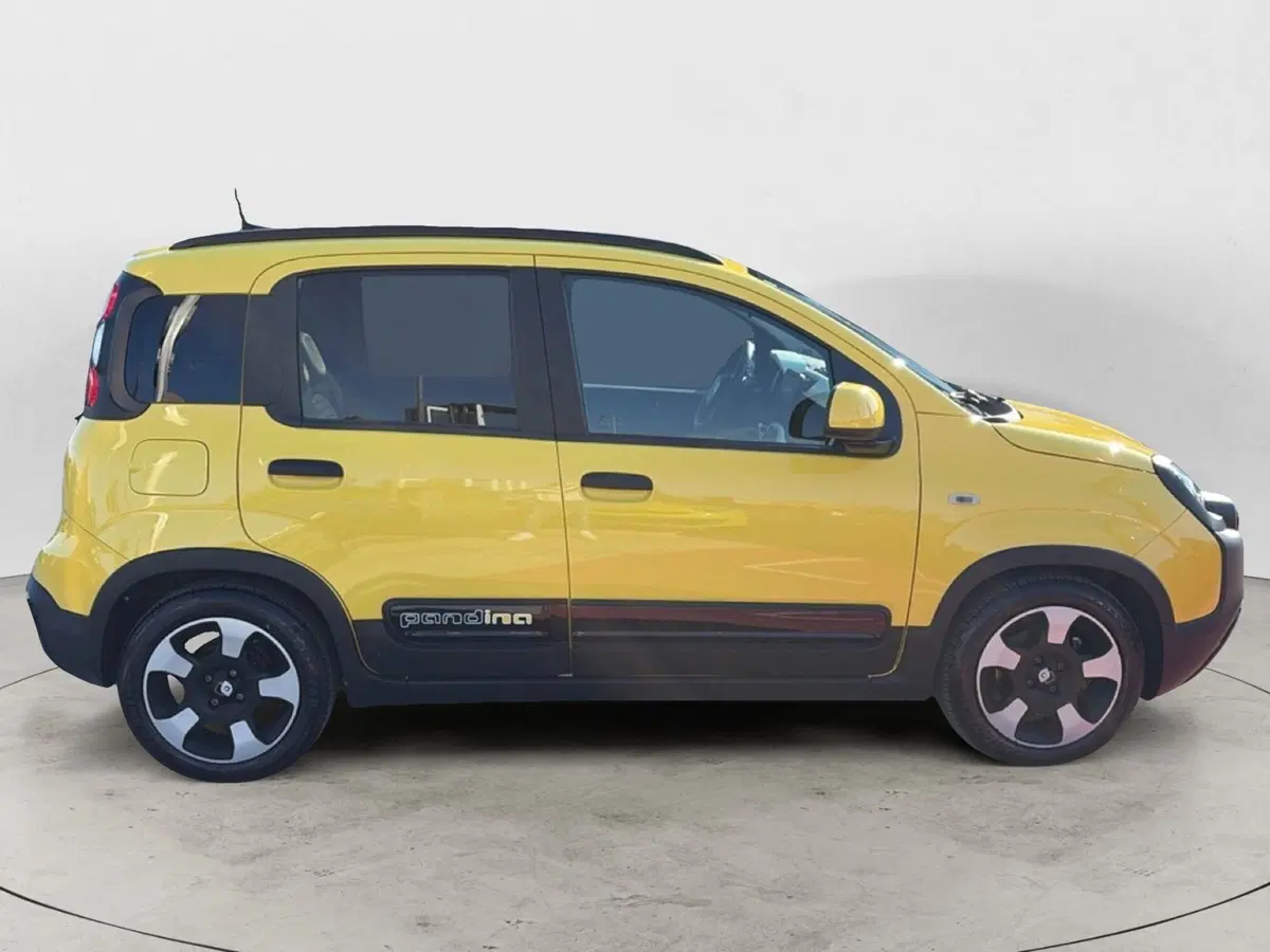 Fiat Panda Cross usata a Campobasso (7)