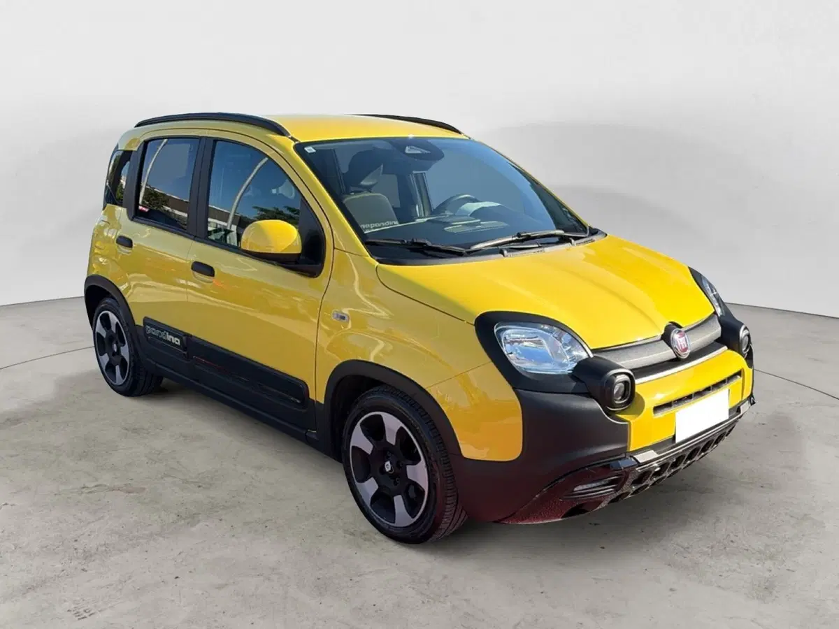 Fiat Panda Cross usata a Campobasso (8)