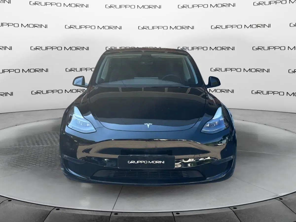 Tesla Model Y usata a Bologna
