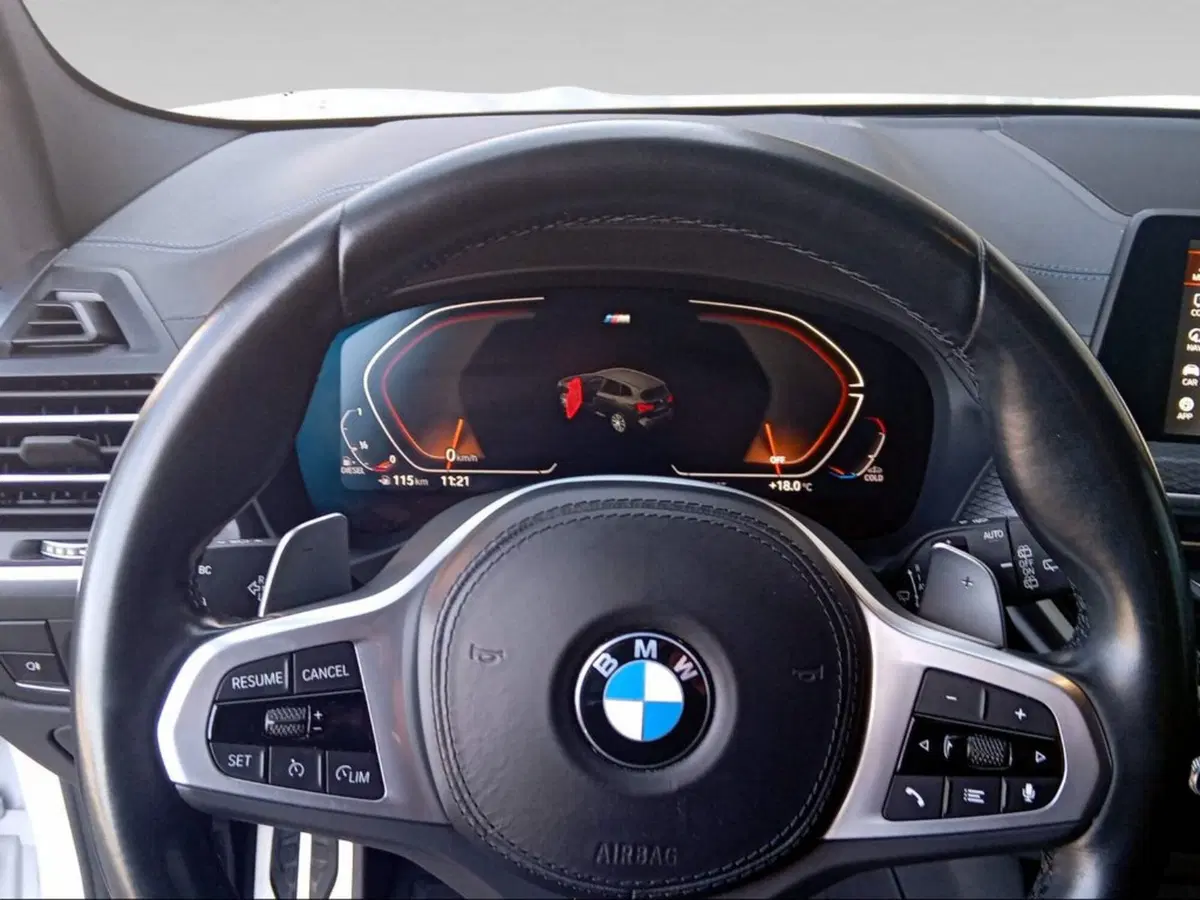BMW X3 usata a Firenze (10)