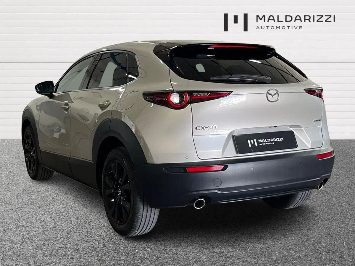 Mazda CX-30 usata a Bari (4)