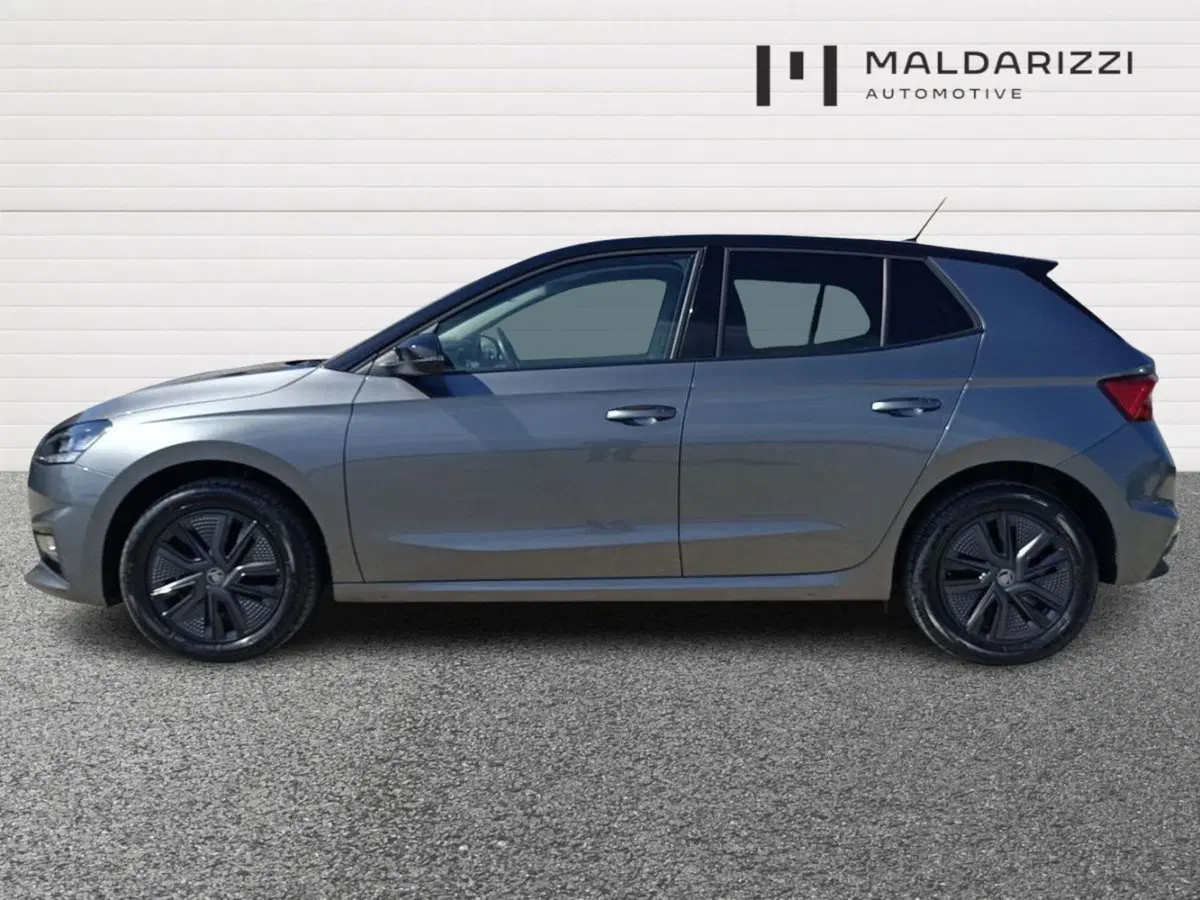 Skoda Fabia usata a Bari (5)