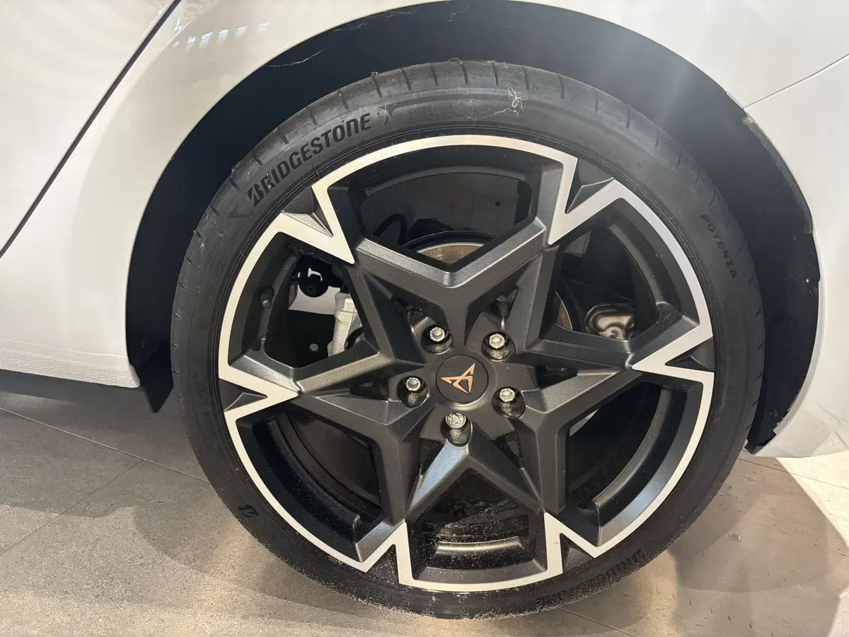 Cupra Leon nuova a Ferrara (8)