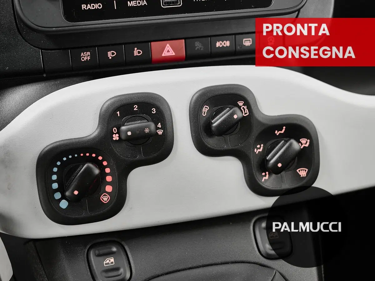 Fiat Panda Cross usata a Prato (13)