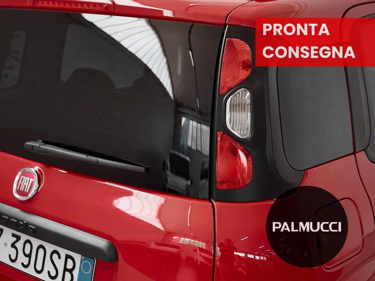 Fiat Panda Cross usata a Prato (7)