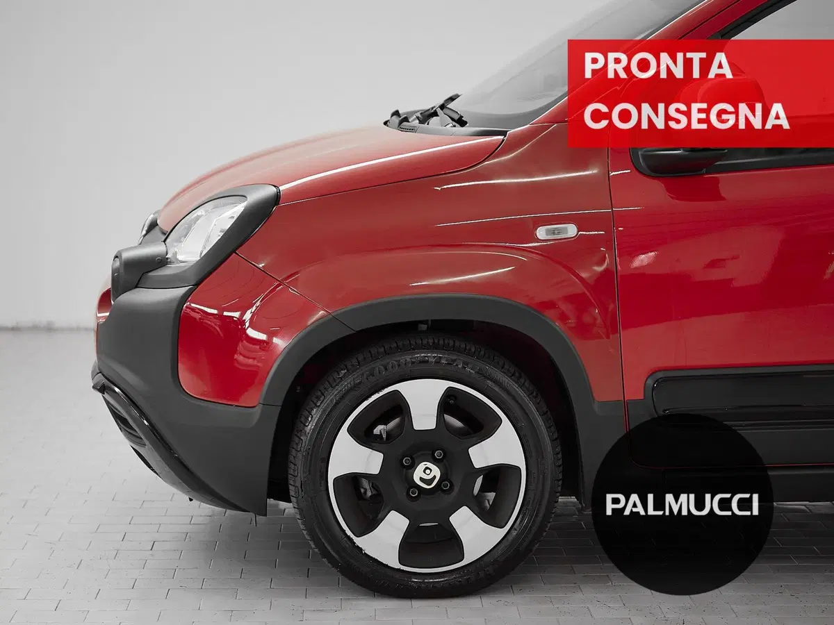 Fiat Panda Cross usata a Prato (8)