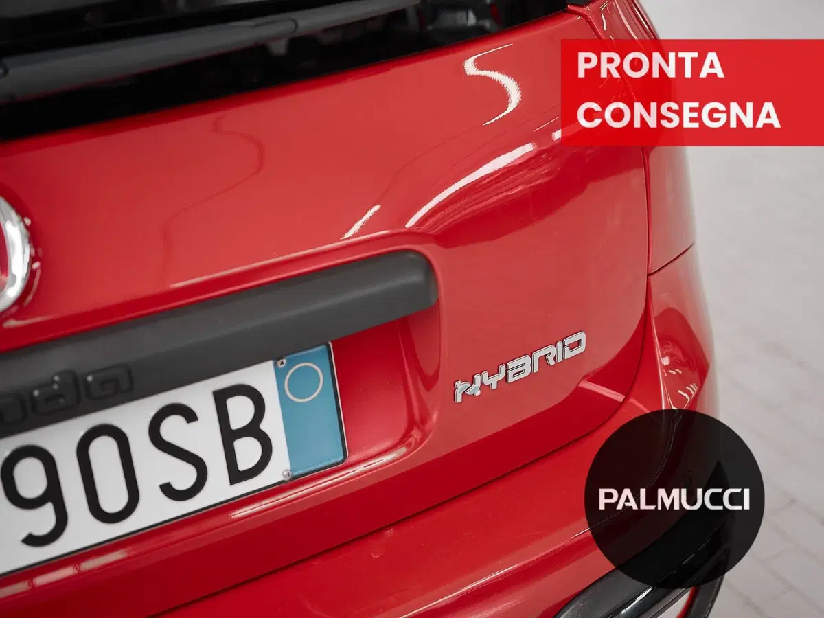 Fiat Panda Cross usata a Prato (9)