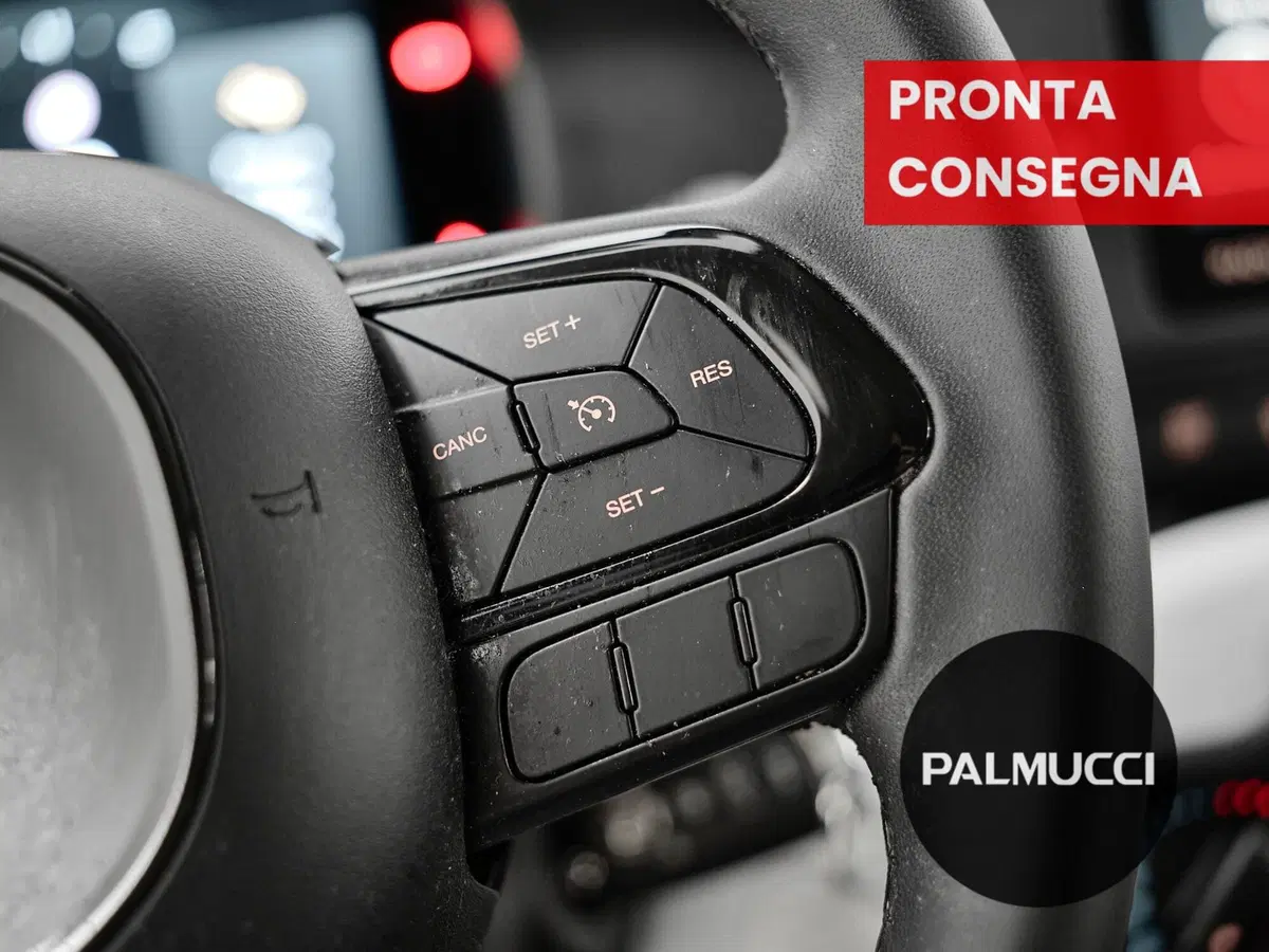 Fiat Panda Cross usata a Prato (17)