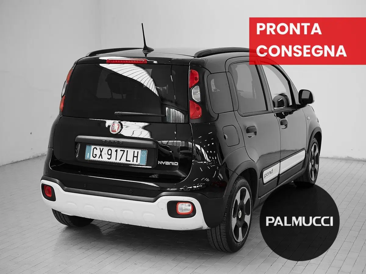Fiat Panda Cross usata a Prato (3)
