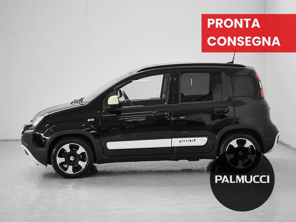 Fiat Panda Cross usata a Prato (4)