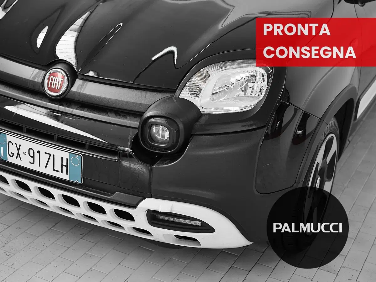 Fiat Panda Cross usata a Prato (5)