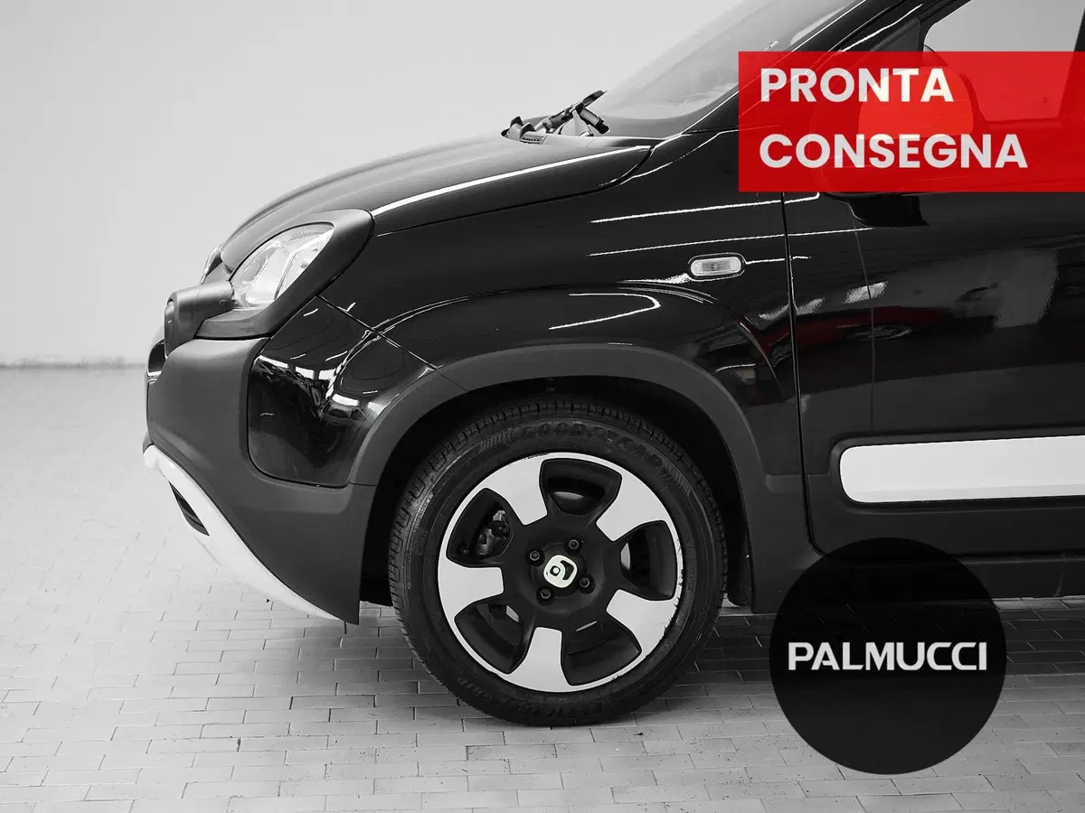 Fiat Panda Cross usata a Prato (6)