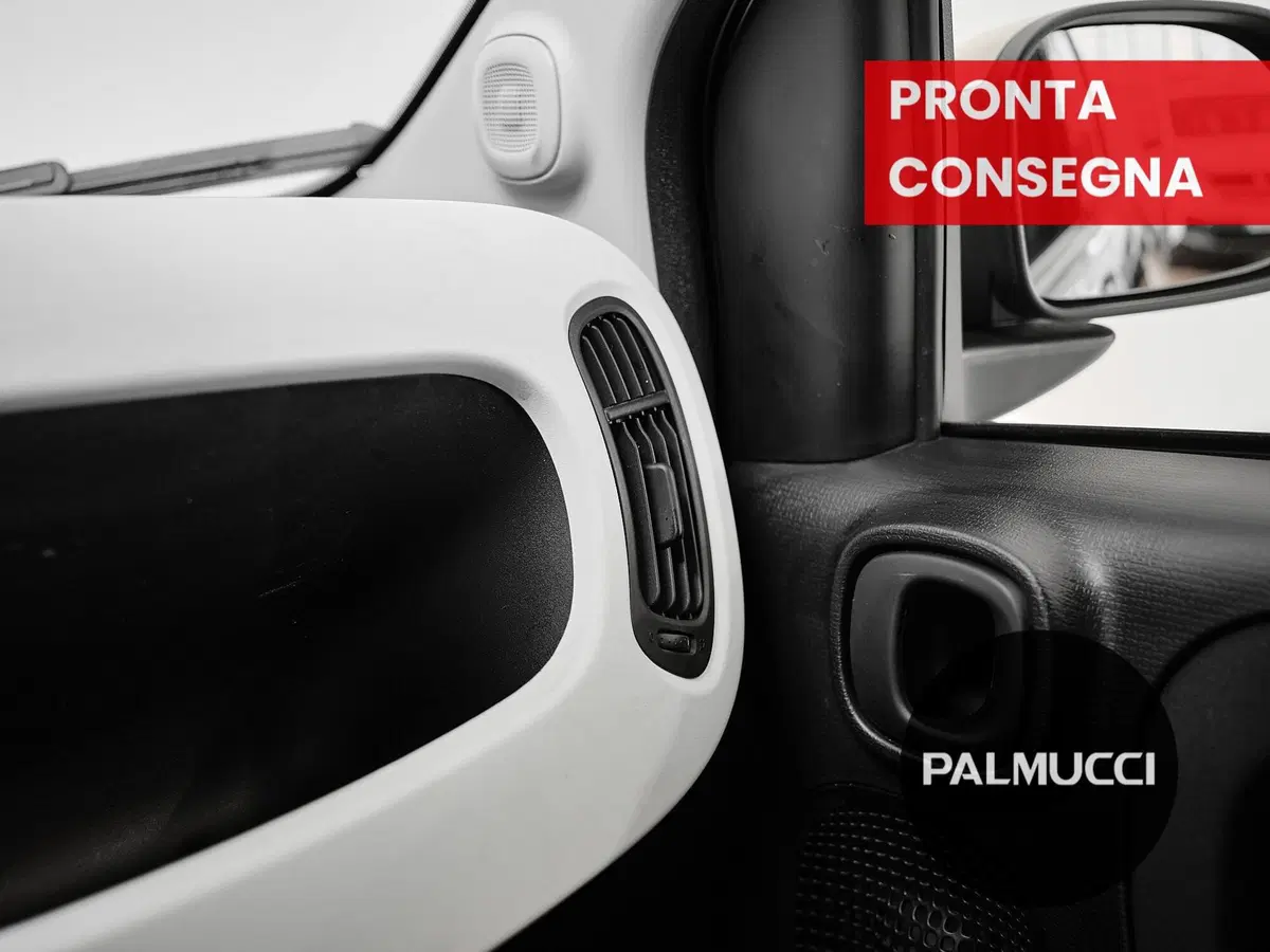 Fiat Panda Cross usata a Prato (9)