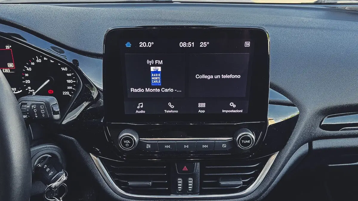 Ford Fiesta usata a Novara (11)