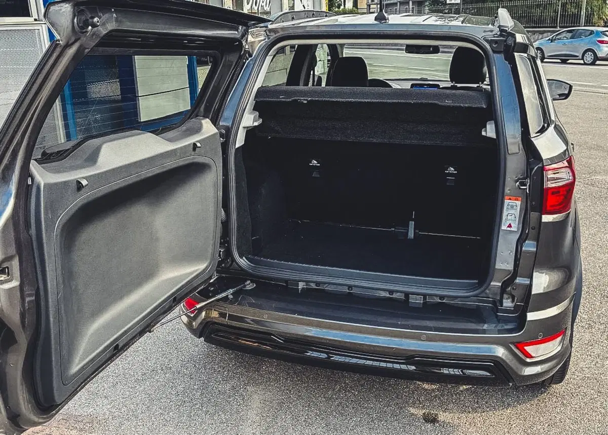 Ford EcoSport usata a Vercelli (12)