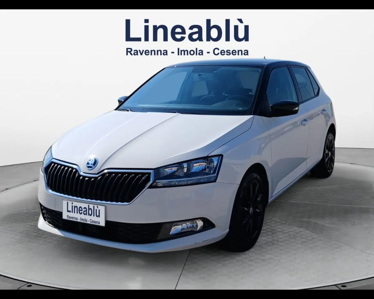 Skoda Fabia usata a Ravenna