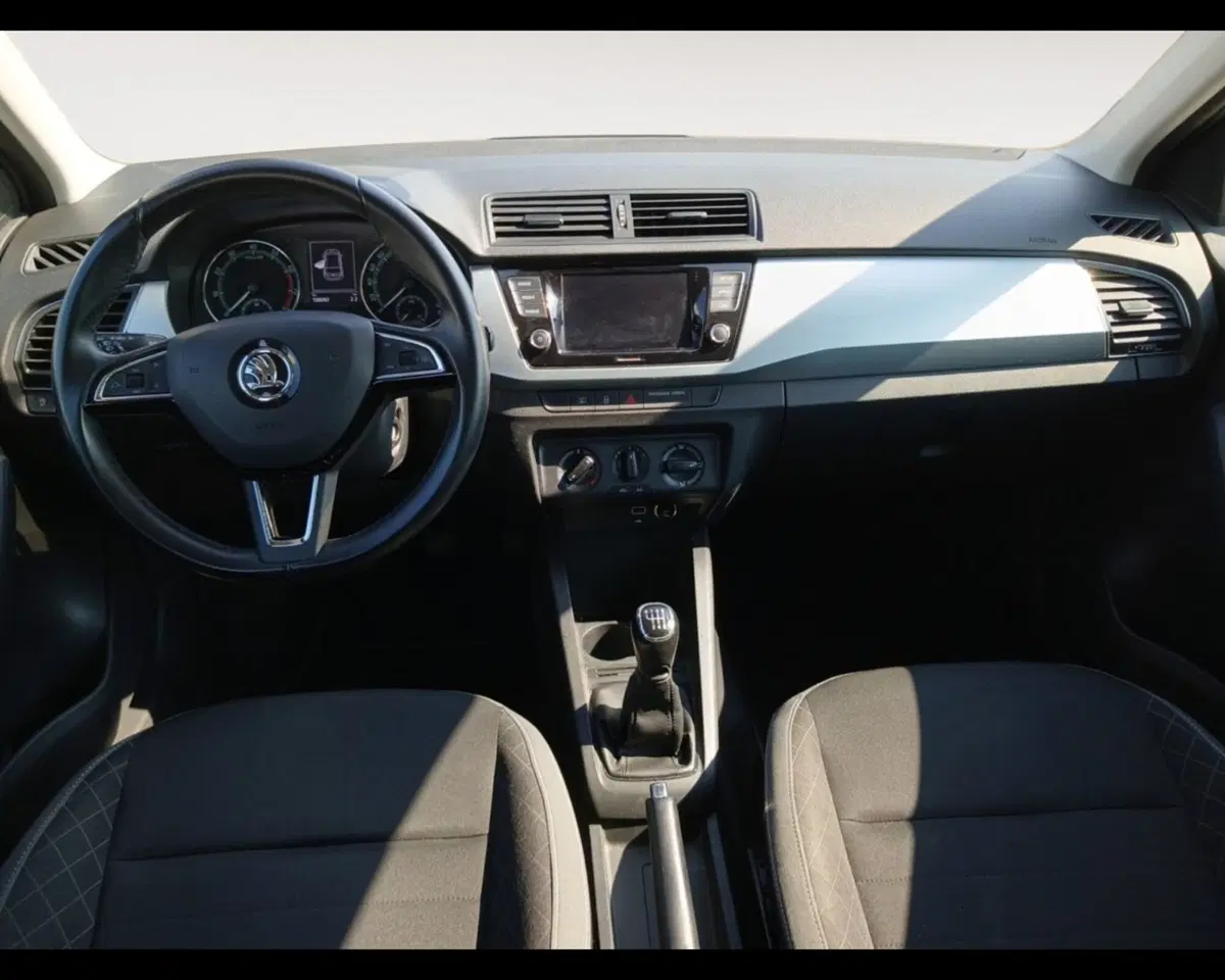 Skoda Fabia usata a Ravenna (10)