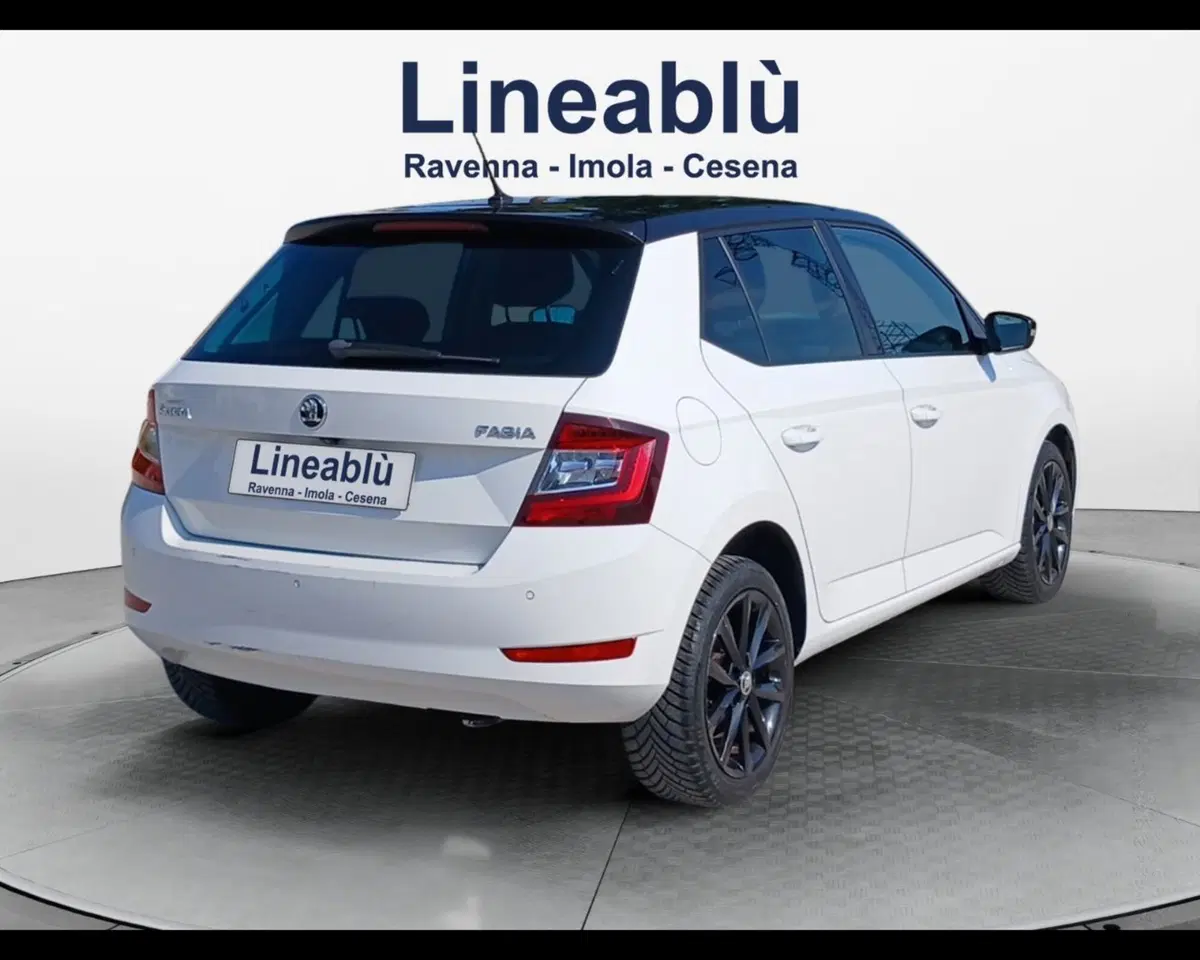 Skoda Fabia usata a Ravenna (5)