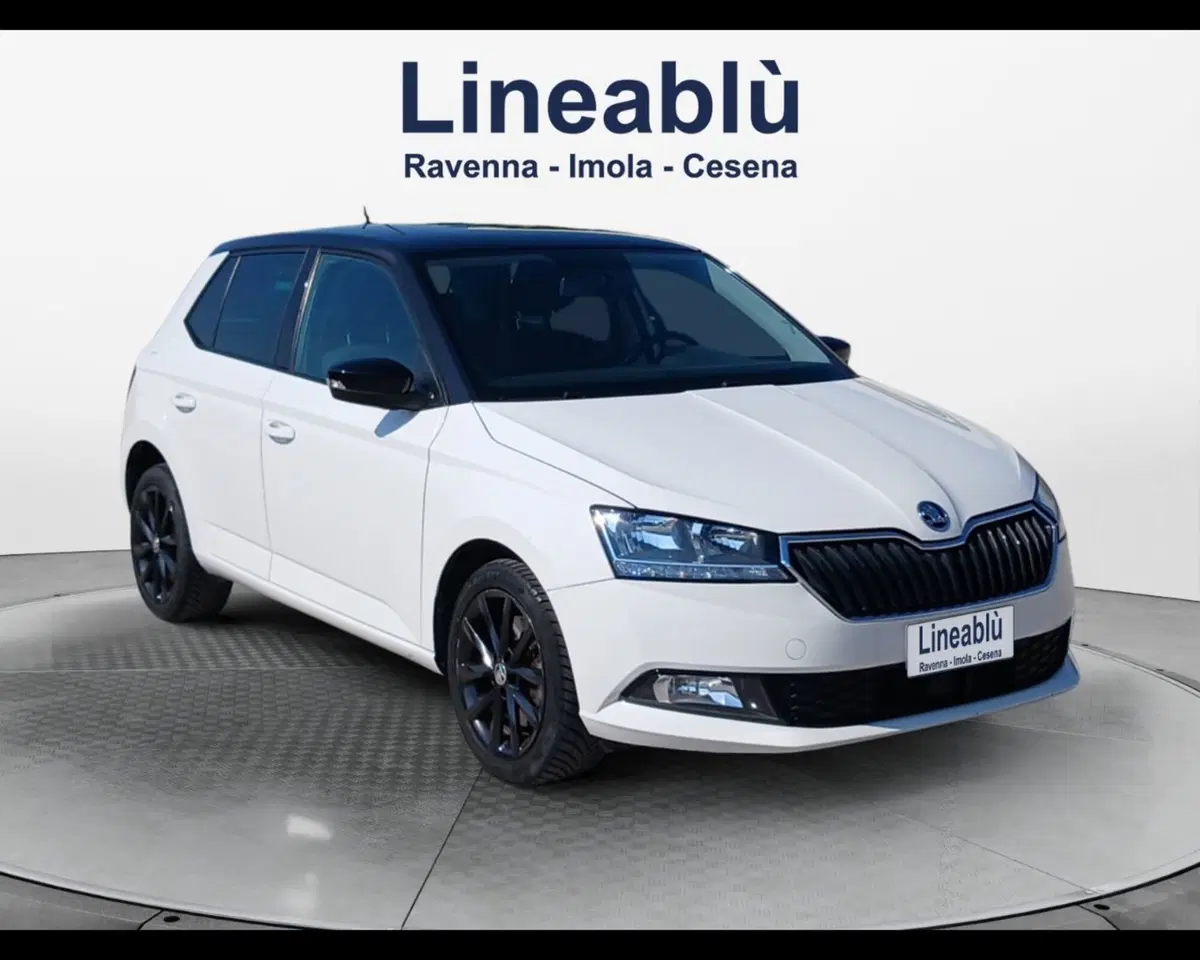 Skoda Fabia usata a Ravenna (7)