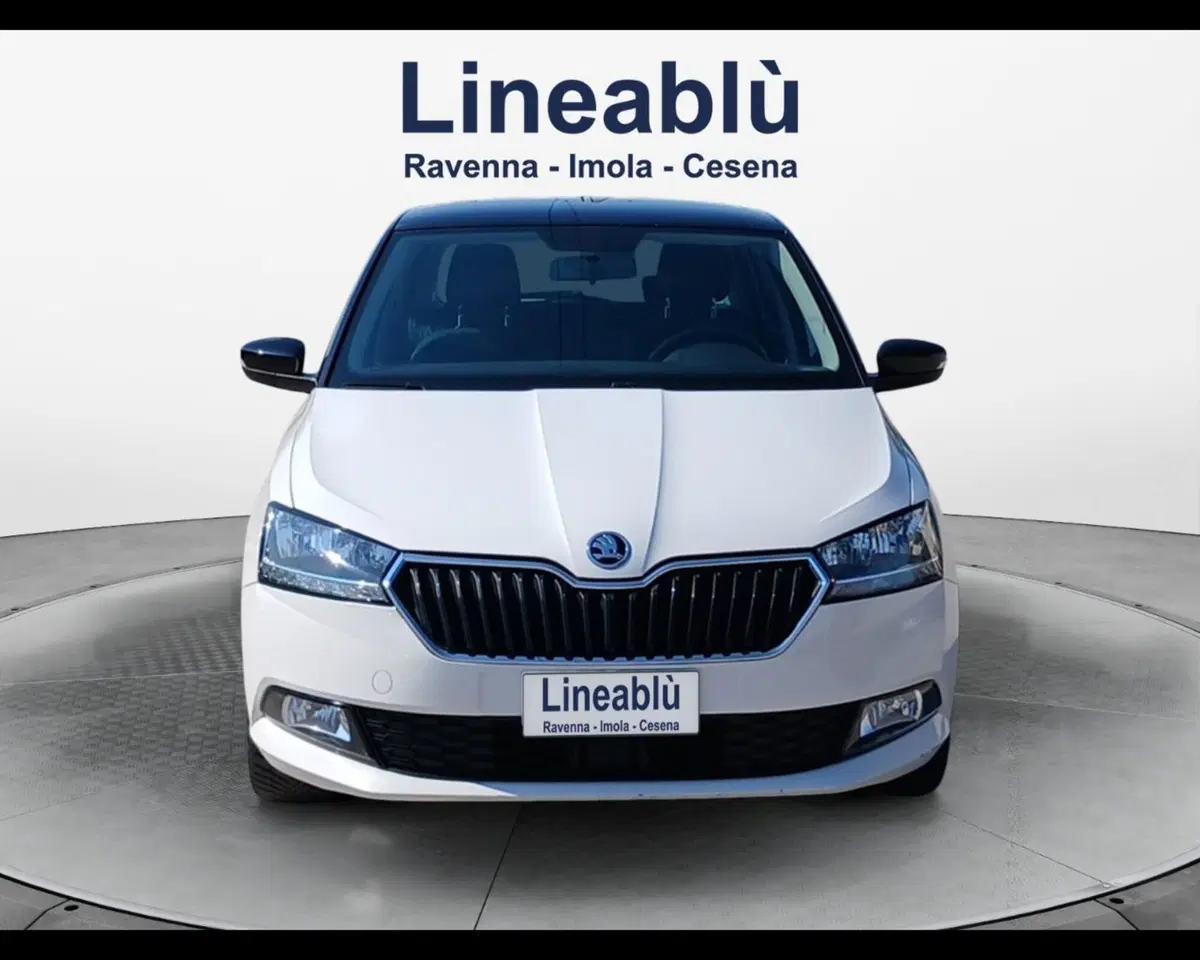 Skoda Fabia usata a Ravenna (8)