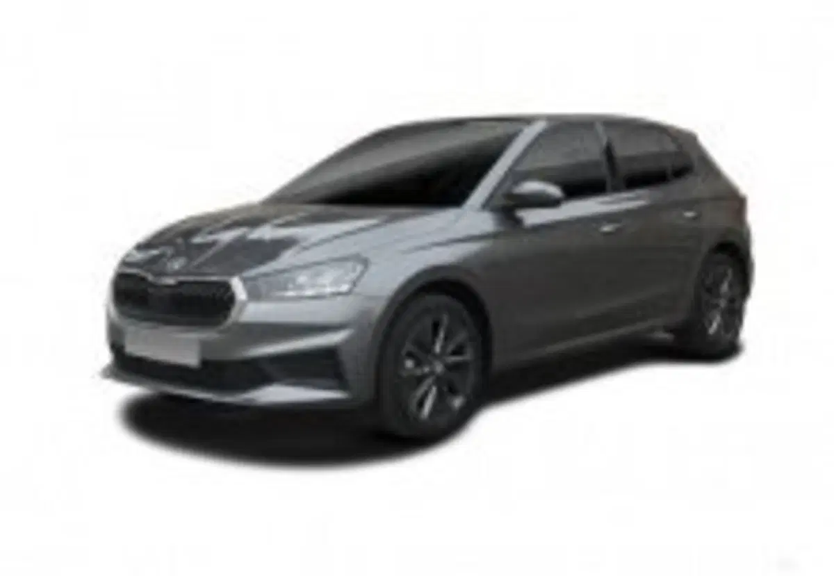 Skoda Fabia nuova a Ravenna
