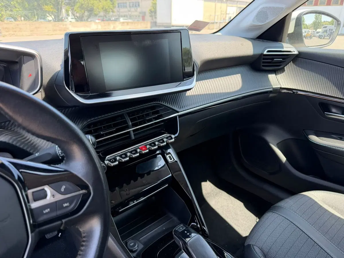 Peugeot 208 usata a Salerno (18)