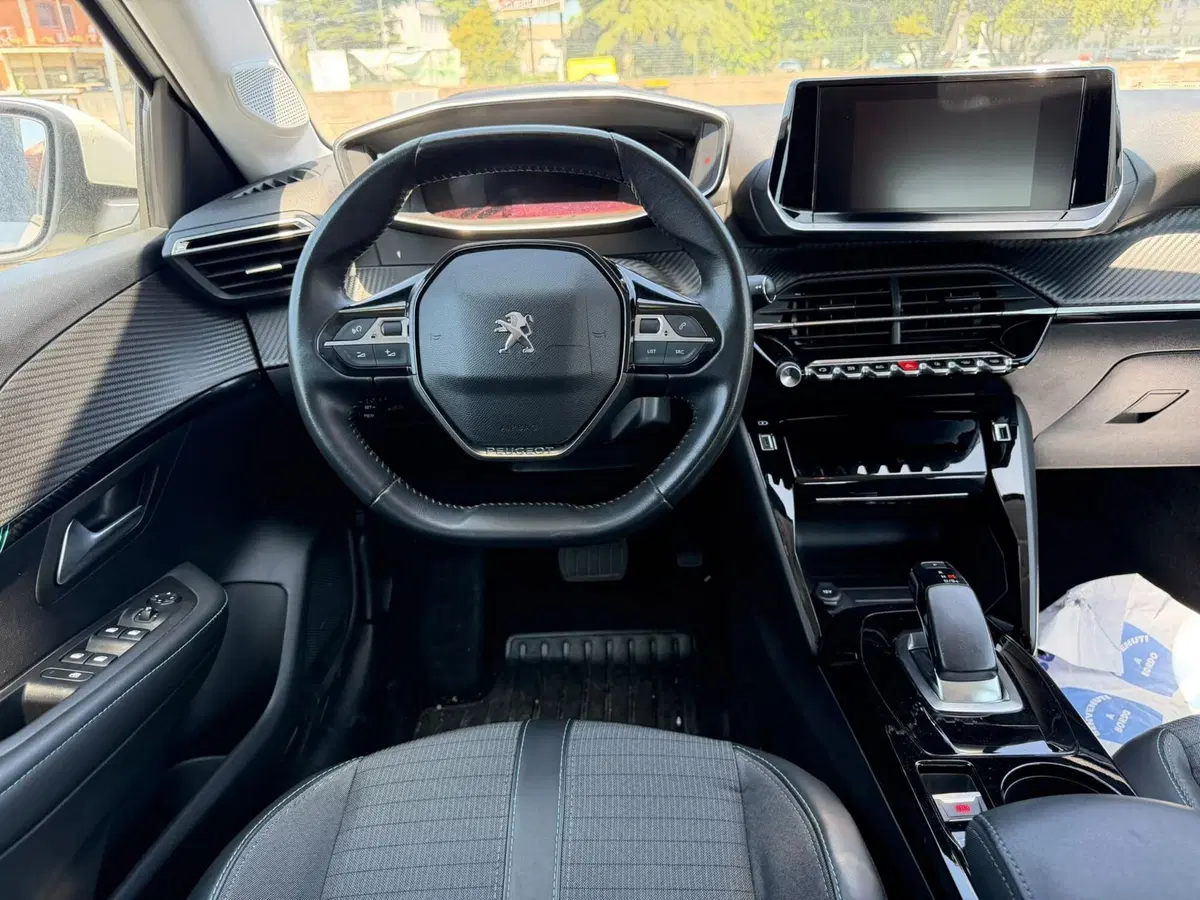 Peugeot 208 usata a Salerno (5)