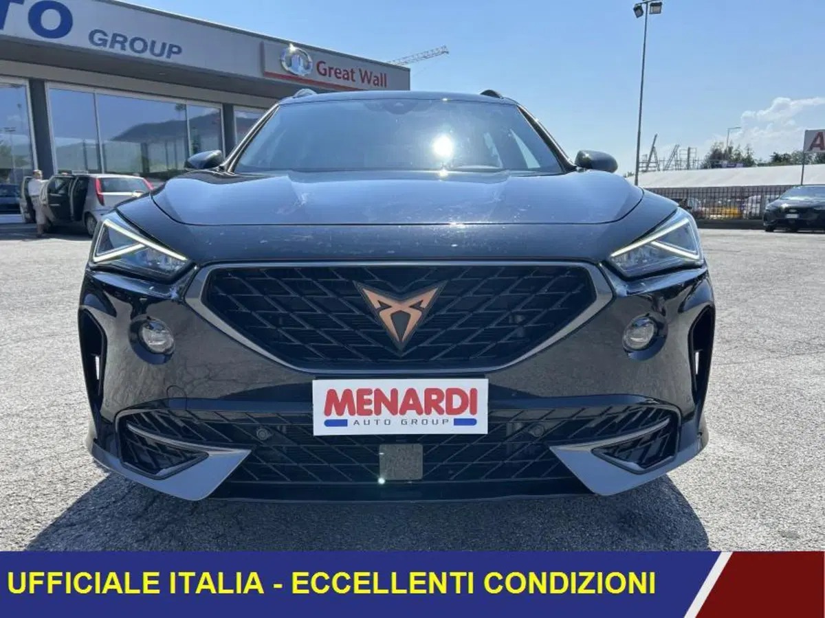 Cupra Formentor usata a Cuneo (2)