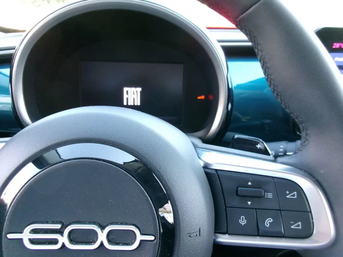 Fiat 600 usata a Venezia (13)