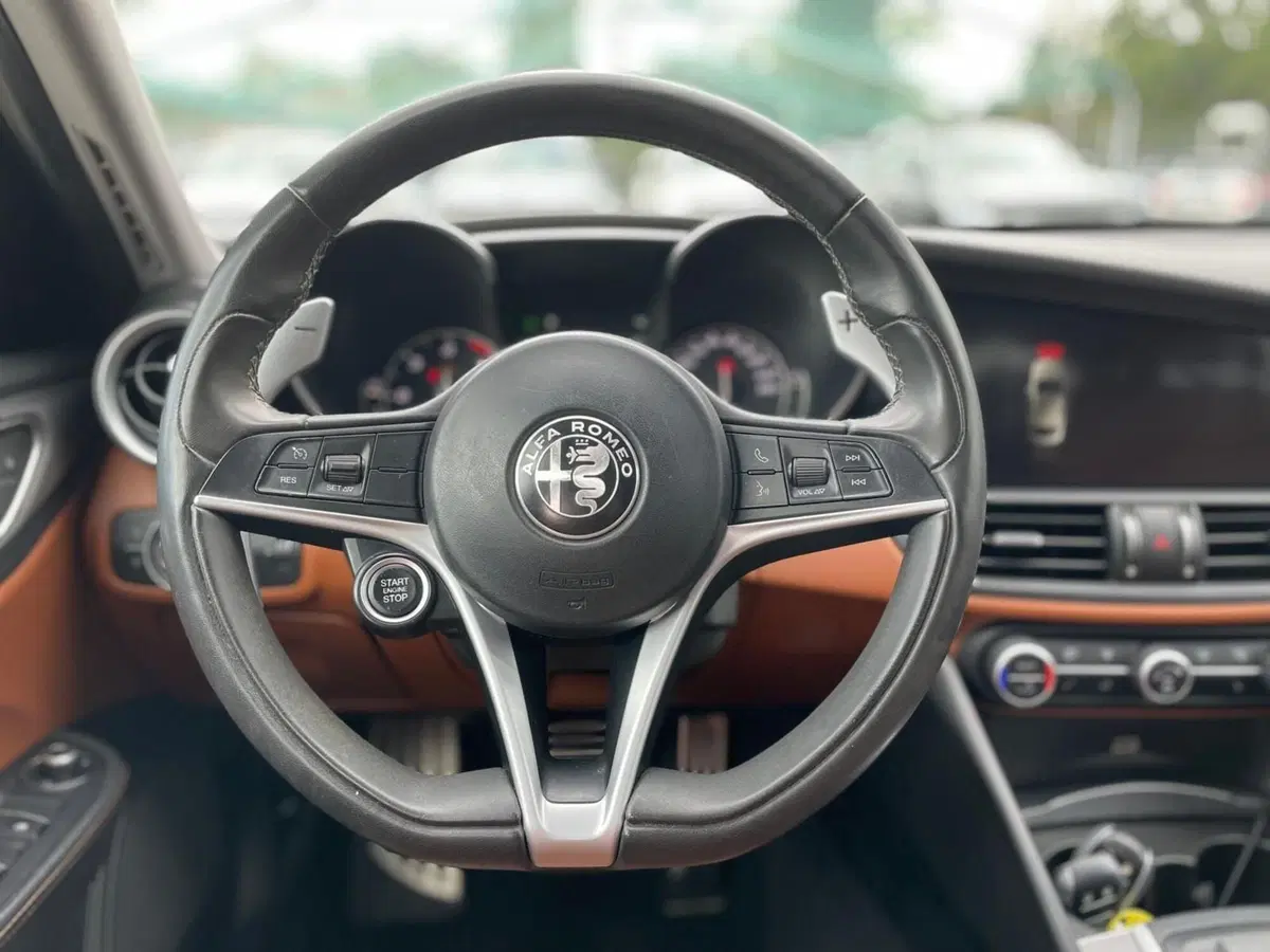 Alfa Romeo Giulia usata a Ancona (11)