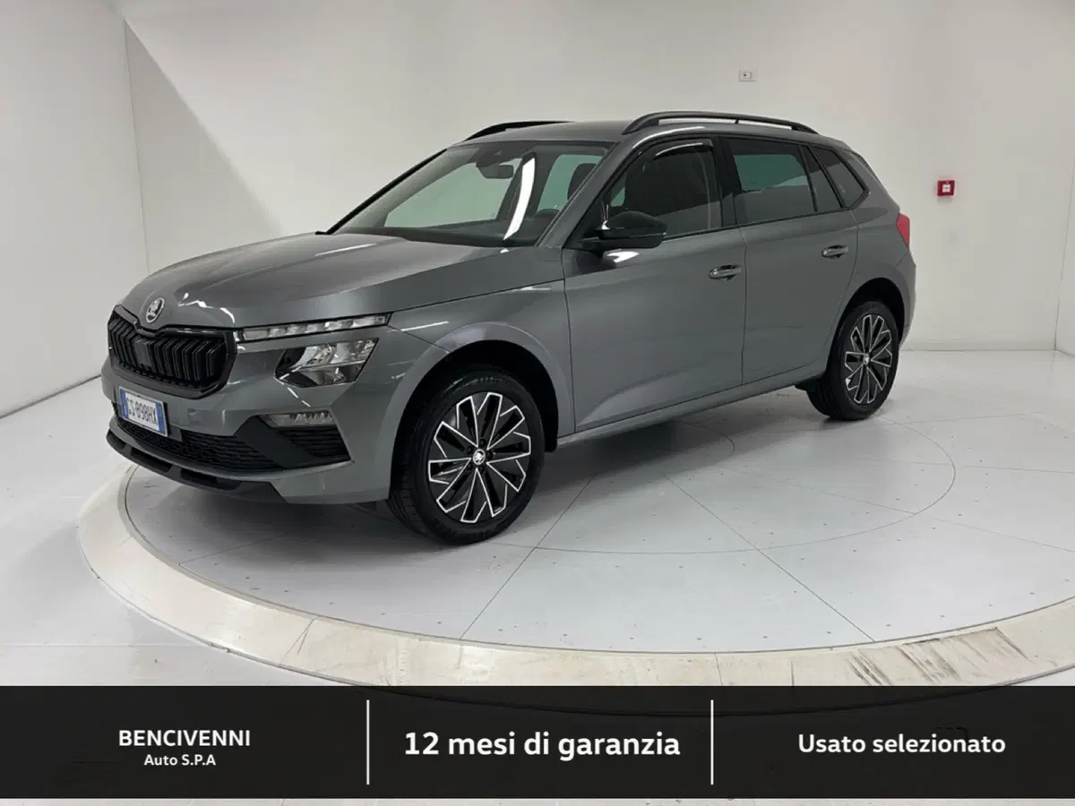 Skoda Kamiq usata a Catanzaro