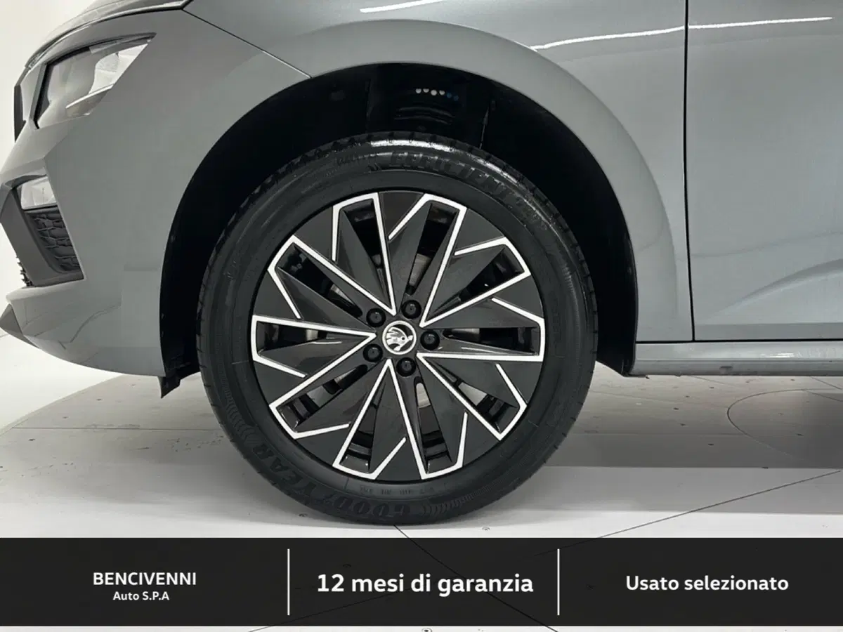 Skoda Kamiq usata a Catanzaro (12)