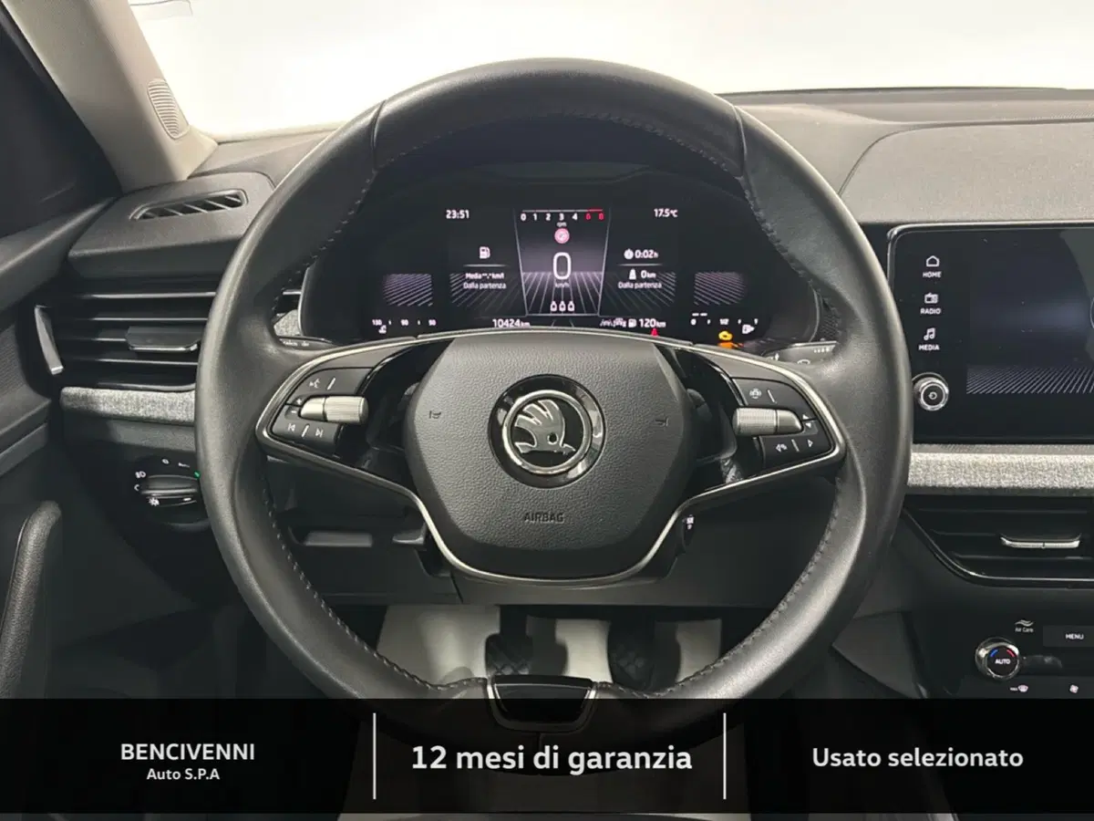 Skoda Kamiq usata a Catanzaro (15)