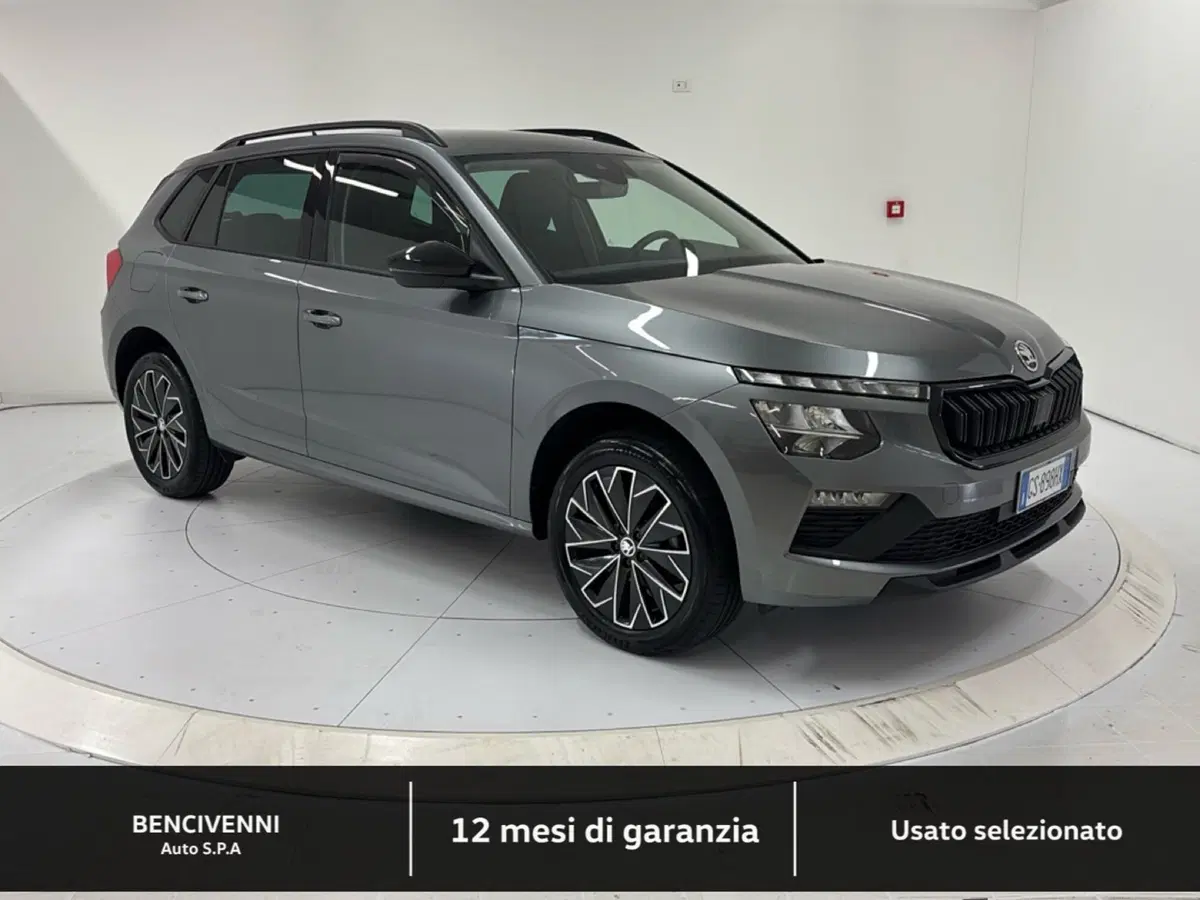 Skoda Kamiq usata a Catanzaro (4)