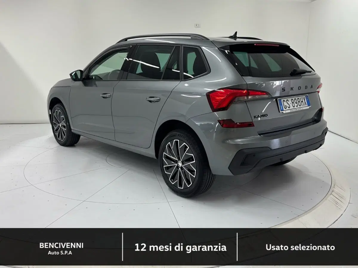 Skoda Kamiq usata a Catanzaro (9)