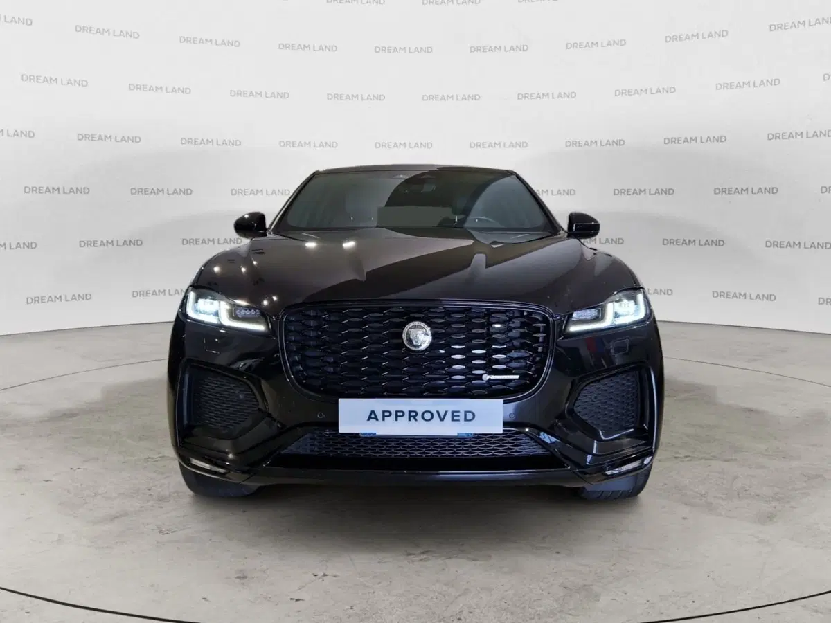 Jaguar F-Pace usata a Firenze (8)
