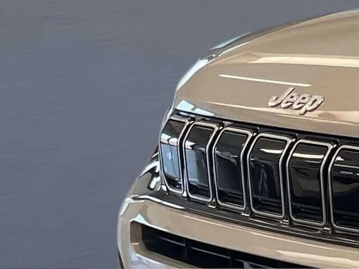 Jeep Avenger usata a Bergamo (14)