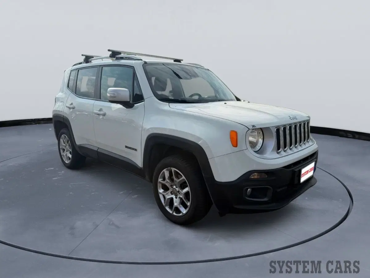Jeep Renegade usata a Monza e Brianza (2)