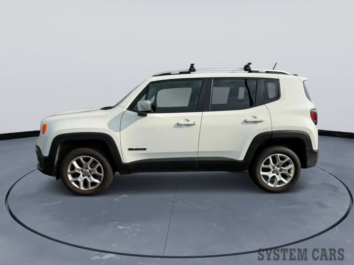 Jeep Renegade usata a Monza e Brianza (3)