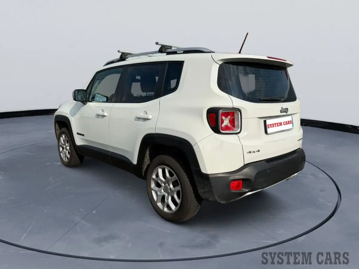 Jeep Renegade usata a Monza e Brianza (5)