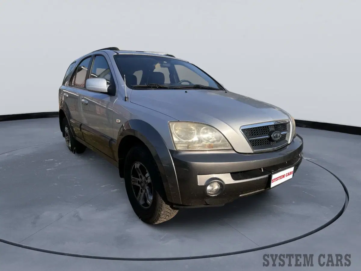 Kia Sorento usata a Monza e Brianza (3)