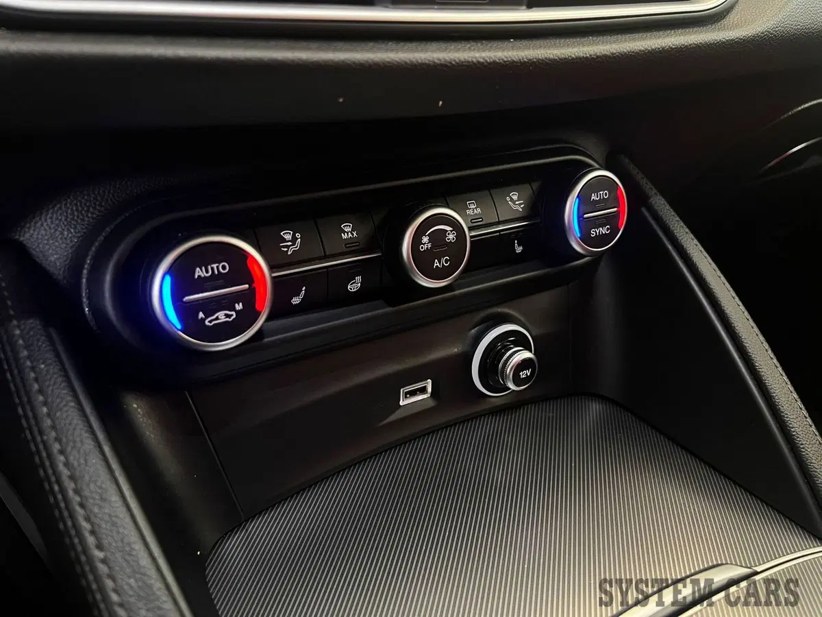 Alfa Romeo Stelvio usata a Monza e Brianza (10)