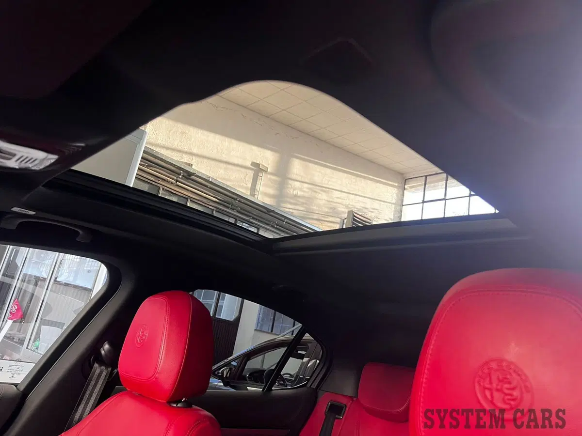 Alfa Romeo Stelvio usata a Monza e Brianza (11)
