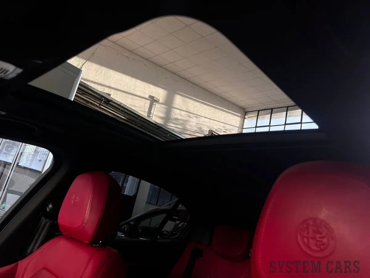 Alfa Romeo Stelvio usata a Monza e Brianza (12)