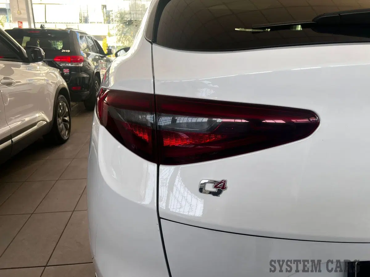 Alfa Romeo Stelvio usata a Monza e Brianza (19)
