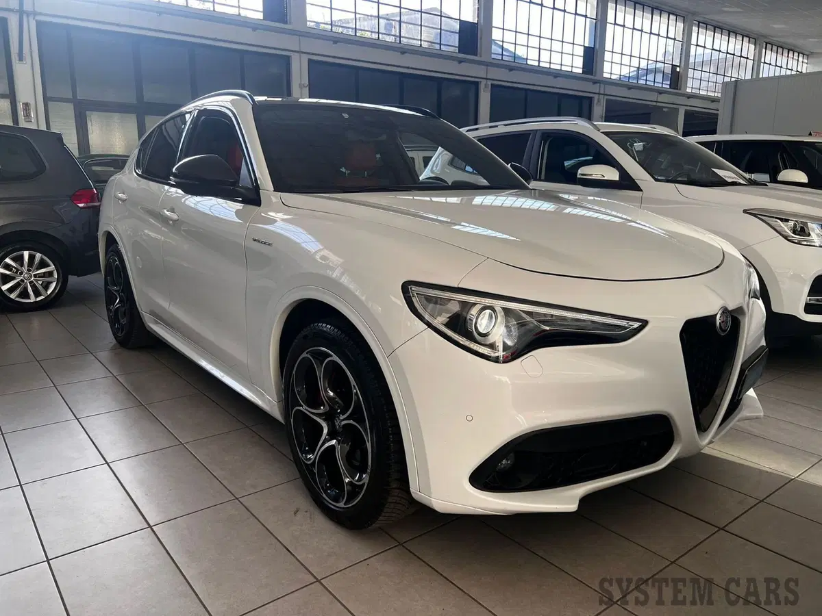 Alfa Romeo Stelvio usata a Monza e Brianza (2)