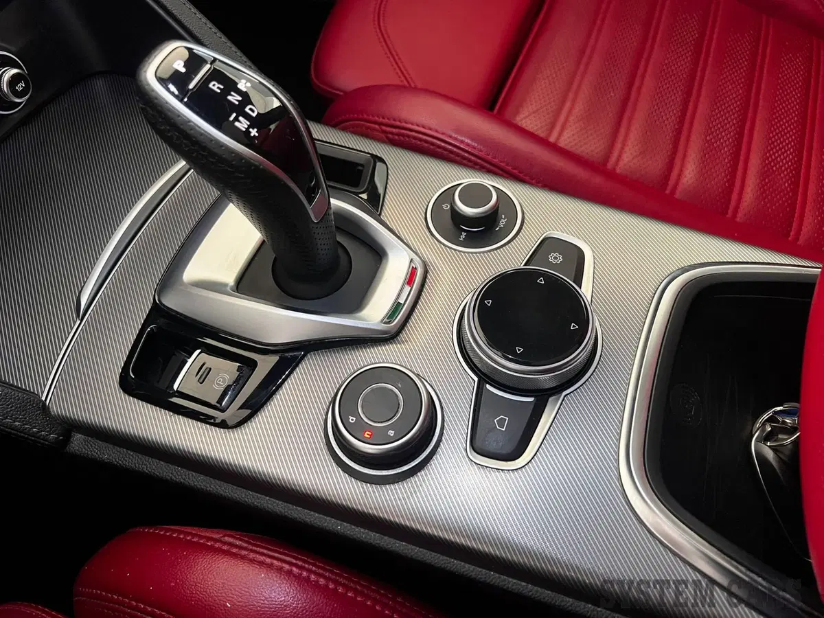Alfa Romeo Stelvio usata a Monza e Brianza (9)