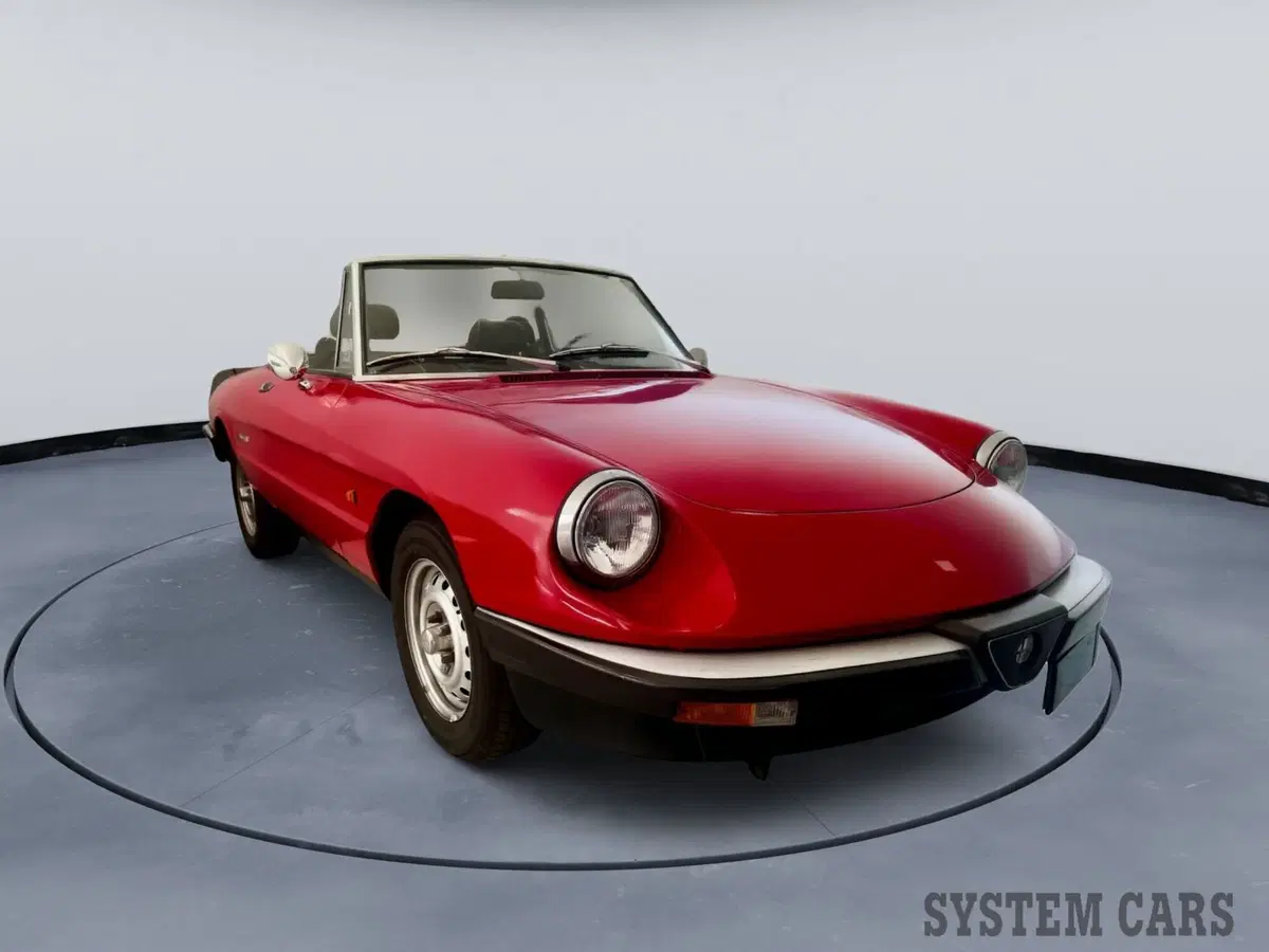 Alfa Romeo Spider usata a Monza e Brianza (2)